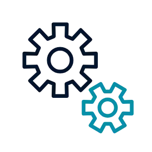 Implementation of the audit program